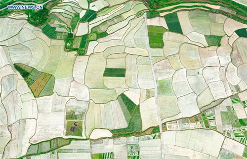 In pics: rice fields in China's Guizhou