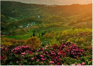 Enjoy Guizhou's world 'mosts'