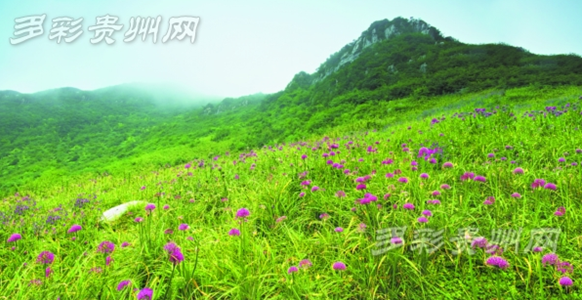 Must-see autumn scenery in Guizhou