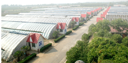 Agriculture in Nanyang