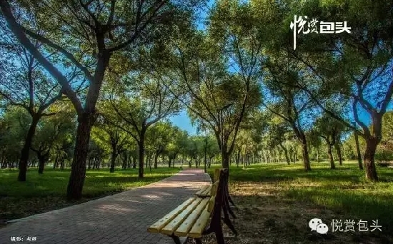Baotou greenway tempts residents with eco-friendly lifestyle