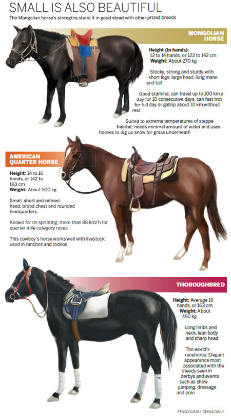 Perfect for a long ride, and a work of art to boot