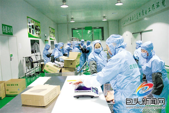 North China to promote husbandry