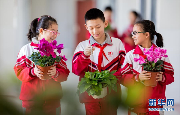 Plants brighten up a classroom in Inner Mongolia
