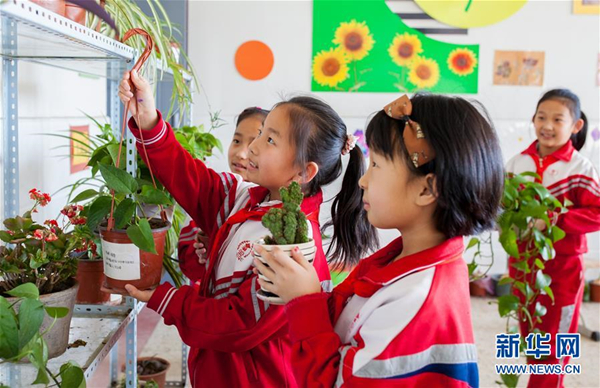 Plants brighten up a classroom in Inner Mongolia