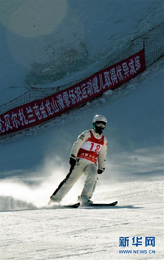 National freestyle skiing aerials championship