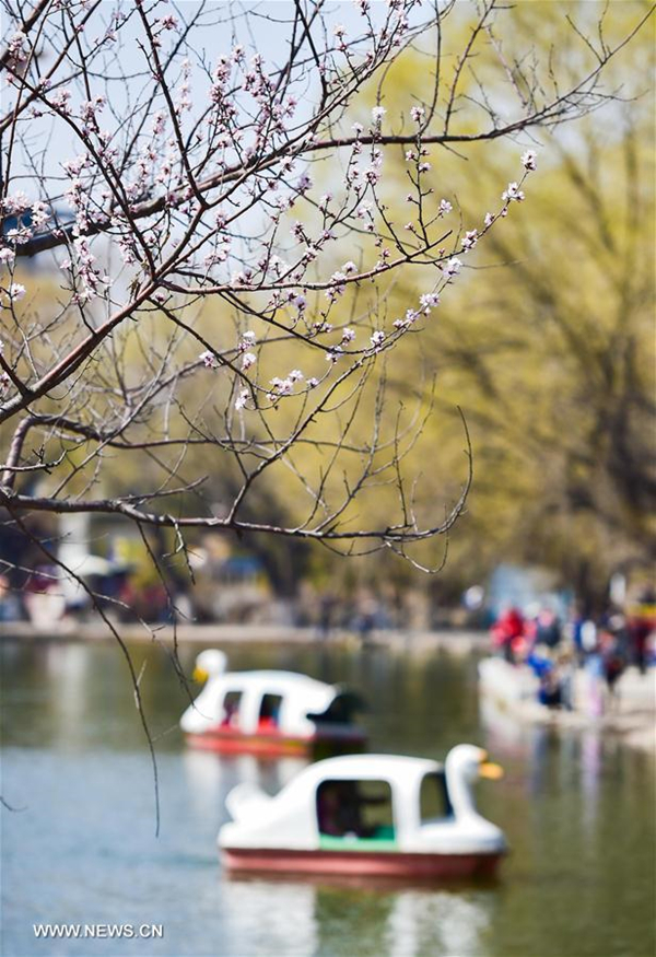 People enjoy scenery at Qingcheng Park in Hohhot, North China