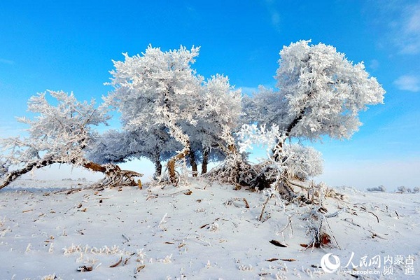 Explore a frozen world in Hulunbuir grassland