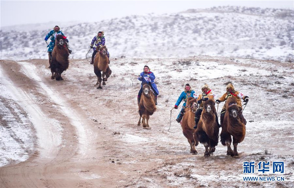 Naadam camel events held in N China