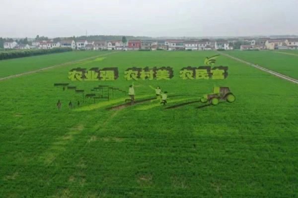 Changyinsha, ideal place for rural tourism in autumn