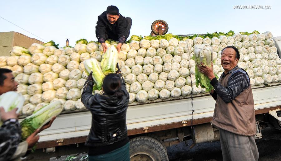 People in N China busy with stocking vegetables before winter season