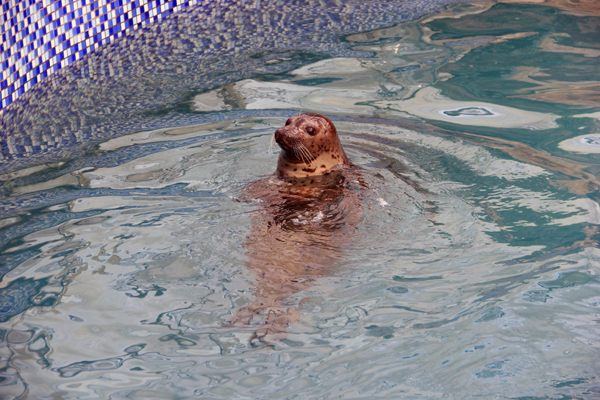 Changchun Winter Agriculture Expo opens in a festive mood