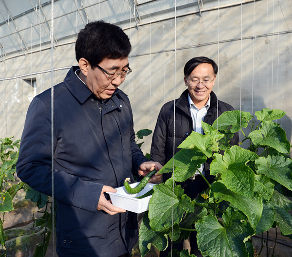 NE China Party secretary goes down to the village for Spring Festival