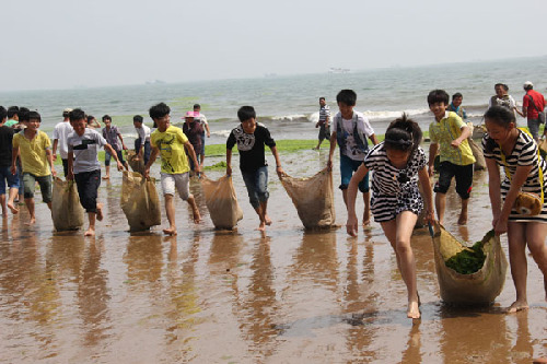 Volunteers clean hazardous algae washed up on the Zhan Bridge beach in Qingdao, Shandong province, on Jun 26, 2013. The city has removed 2,300 tons of such seaweed from its beaches since the plants started to proliferate on June 5. Residents and citizens joined the move to prevent the city's waters from causing a possible seaweed epidemic. Hazardous algae cleared from China's waters