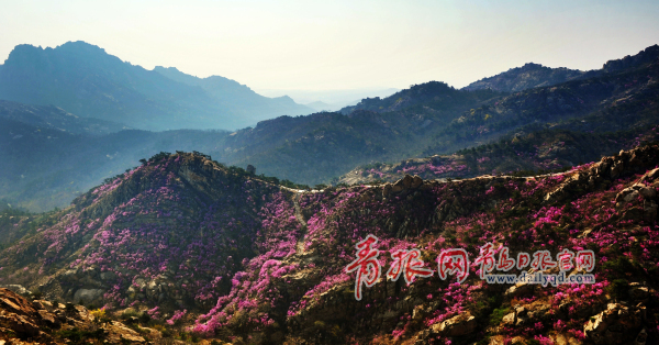 Qingdao eyes second 5A scenic spot