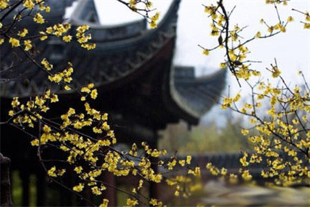 Spring in full swing