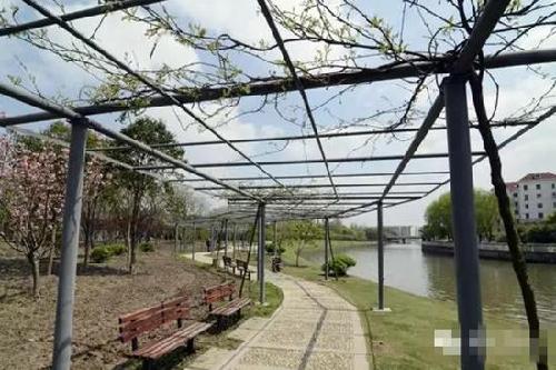 Jiading to realize its goal of having 100 parks