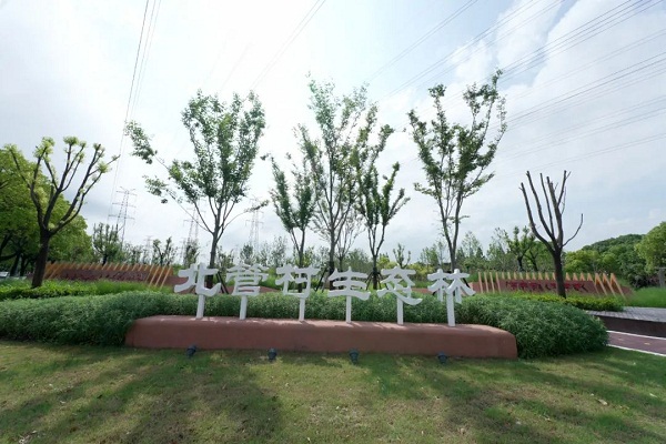 Jiading deputy has faith in rural revitalization