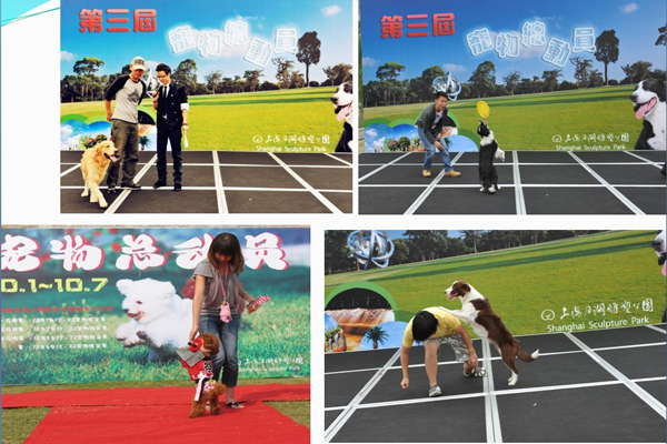 Sign up for the fourth Yuehu Pet Carnival