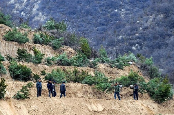 Taiyuan is making a big green leap