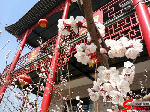 Peach blossom festival to open in Shanxi