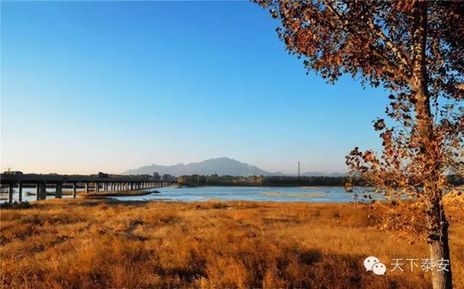 Local photographers capture the beauty of autumn in Tai'an