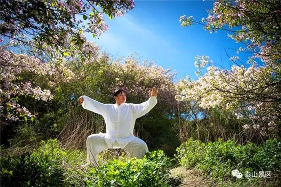 Sea of flowers on Mount Tai