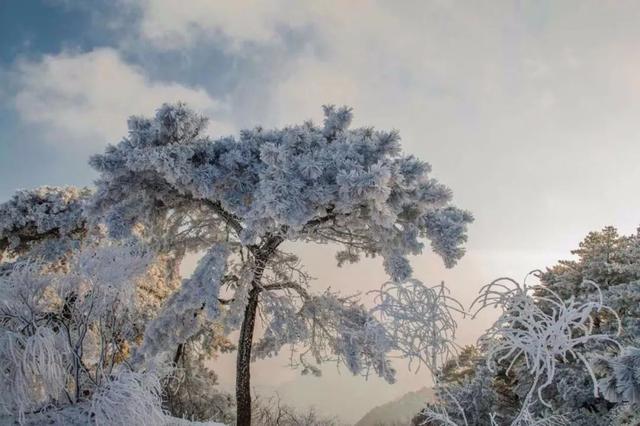 Winter frost sets in at Mount Tai