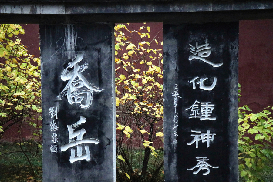In pics: Stone carving captured at Dai Temple in early winter