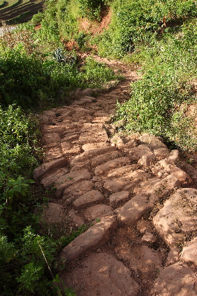 Four-day tour around Pu'er (2)