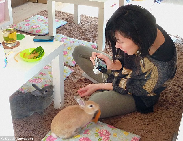 Bunny café in Tokyo<BR>東京推萌兔咖啡館(圖)