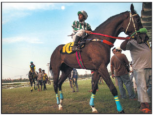 Horse racing a safe bet for gamblers in Buddhist Thailand