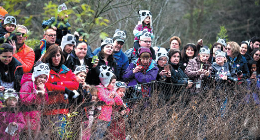 Bao Bao naps, then tastes treats at dumpling send-off