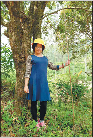 Taking fairy tales into the future