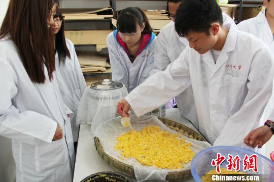 四川成立釀酒產(chǎn)學研聯(lián)盟18家酒企成實習基地