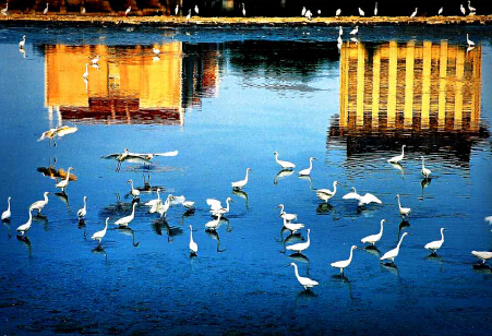 Xiamen’s well-preserved ecology