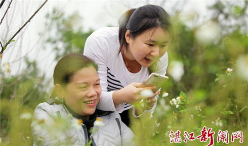 In pictures: Visitors enjoy peach blossoms in Zhanjiang