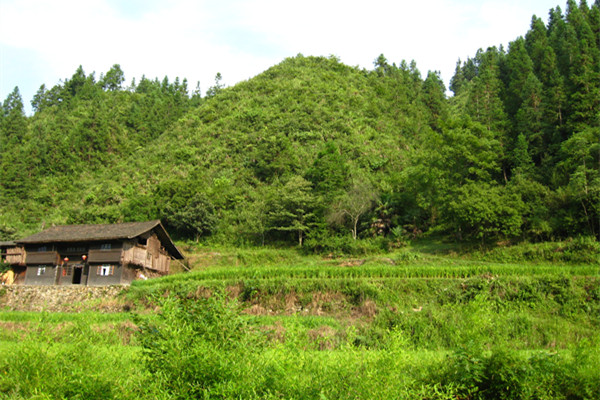 Journey to the Silk Road – Guizhou
