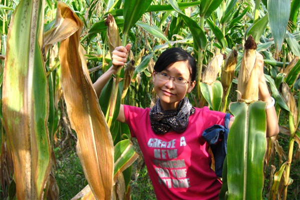 Journey to the Silk Road – Guizhou