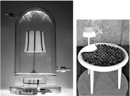 Using the beauty of bacteria