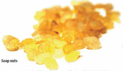 Soap beans, silver ears and peach gum