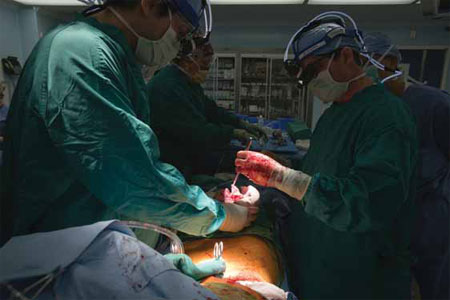 Hint at a future without the need for transfusions