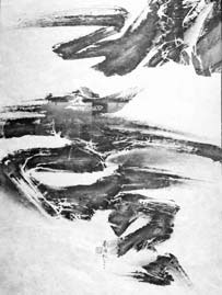 Art legend made white the new black