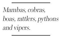 Capturing the beauty of snakes