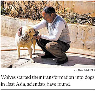 From predator to couch partner