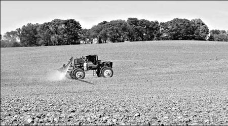 On farms, weeds are proving to be survivors