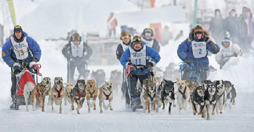63歲中國退休男人追夢北極拍攝當?shù)卦∶? style=