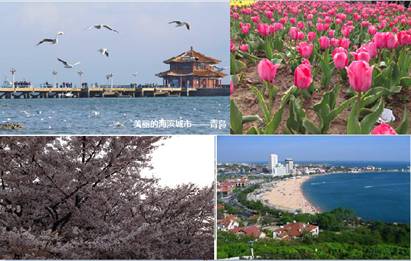 海爾帝樽空調(diào)公益行青島4成室內(nèi)PM2.5超標(biāo)