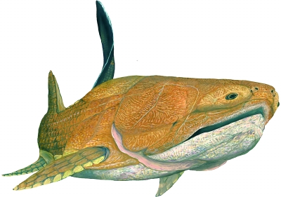 學(xué)者發(fā)現(xiàn)