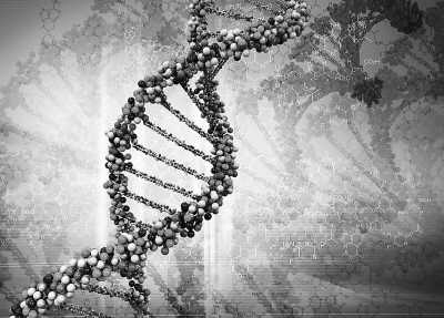 美國科學(xué)家發(fā)現(xiàn)DNA生物時(shí)鐘